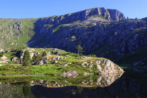 pyrenees