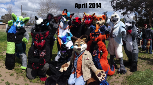 aceofheartsfox:Two fursuit group photos from the same meet then and now. :3 it’s really great to see how much the local furry community has grown!  omfg thats awesome :DDD