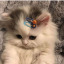 littlegreyflower
