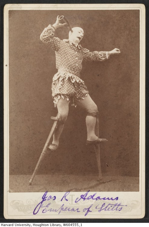Photograph of performer J.R. Adams “Emperor of Stilts”, 1893.TCS 1.113Houghton Library, Harvard Univ