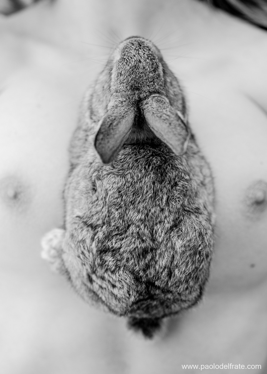 paolodelfrate:  @claudialion “Bucolica” Paolo Del Frate
