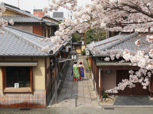 Spring in Kyoto by k n u l p on Flickr.
