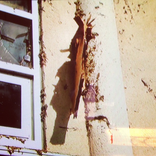 That is a piece of cardboard stuck in a wall!! That&rsquo;s the power of a tornado.