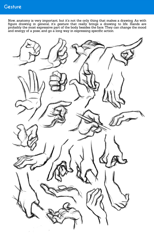 sarahculture: Tips on Drawing Hands Tutorial Hope this is helpful! Twitter DeviantArt 