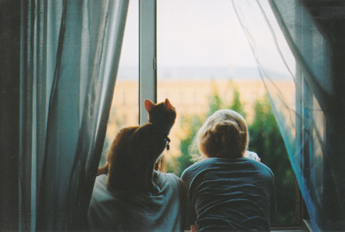 sinkling:   L O V E by Nastya Jour on Flickr. 