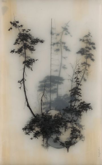Shane Salzwedel