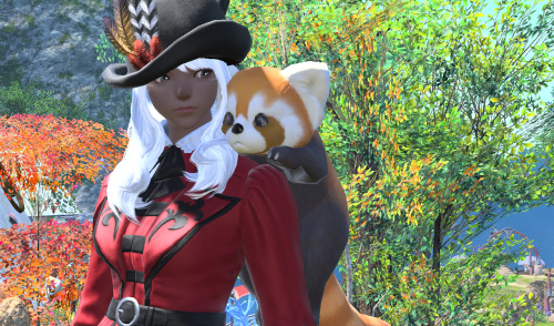 Day 26 - Favorite MinionLesser Panda.