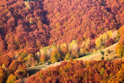 expressions-of-nature:Autumn in Western Ukraine by Dima