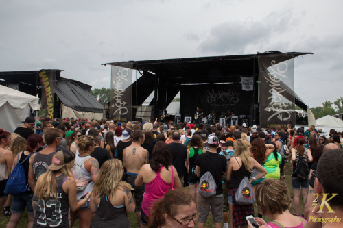 Bayside killing it at Warped Tour 2014 in Darien Lakes Performing Arts Center - Buffalo, NY on 7.8.1