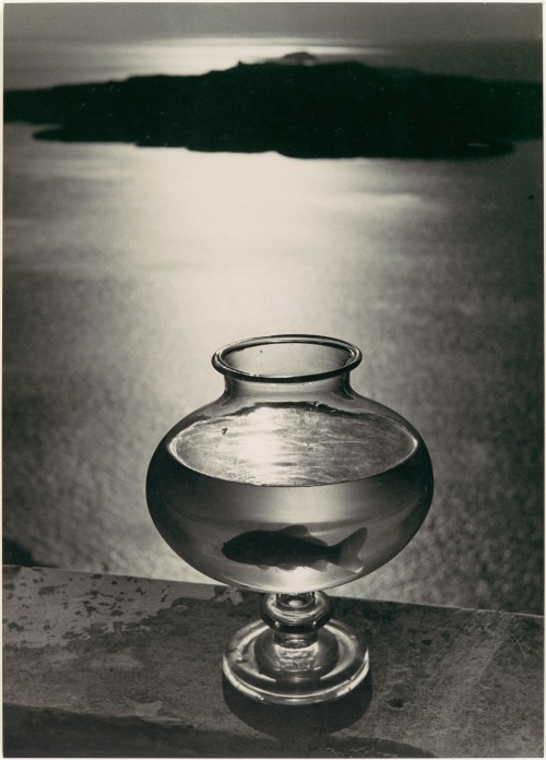howtoseewithoutacamera:  by Herbert List Goldfish Bowl, Santorini, Greece, 1937