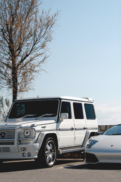 classyhustler:  G55 AMG x Murcielago | photographer 