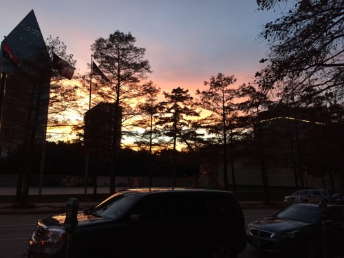 kaleidoxcrasher:  dallas sunsets