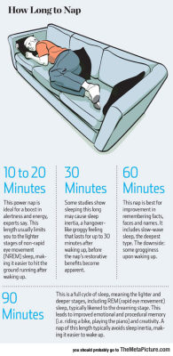 srsfunny:How Long To Nap For The Biggest Brain Benefits