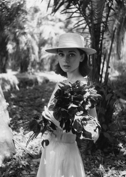 lostpolaroids:Audrey Hepburn photographed by Leo Fuchs during the production of The Nun’s Story, Bel