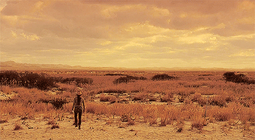 aletheia-normandy: POI Season 5: Sotto Voce→ Favourite Shots