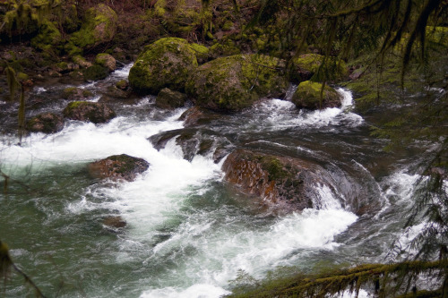 mypubliclands:  Happy Birthday, Elkhorn Creek - 18 years in the National Wild and Scenic Rivers System! Elkhorn Creek, near Salem, Oregon, includes 5.8 miles of ‘wild’ river area and a smaller segment of 0.6 miles of ‘scenic’ river area. Wild