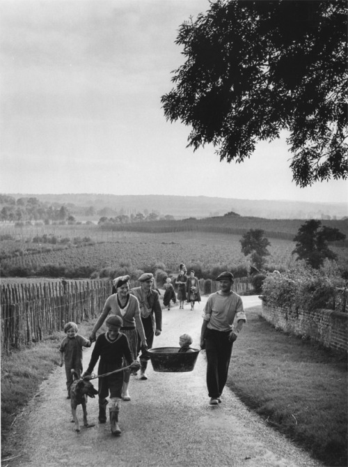 vintageeveryday:Hopping Holiday, Kent, 1951. Photographed by Bert Hardy.