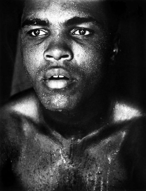 Muhammad Ali photographed by Gordon Parks