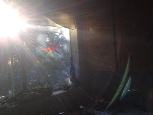 My kitchen was really smoky because I burnt some pizza and this is the result of the sun shining in 