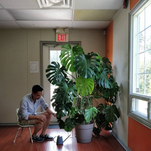 I figured the size of the plant could be emphasized if I sat on a kid&rsquo;s chair. - FAQ - rea