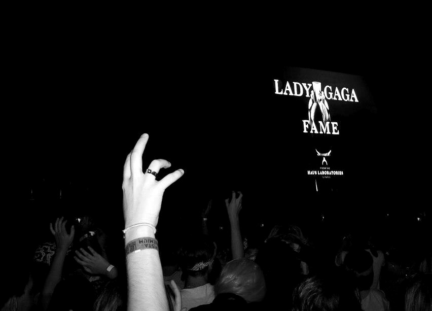 sinktheirsins:  Paws Up