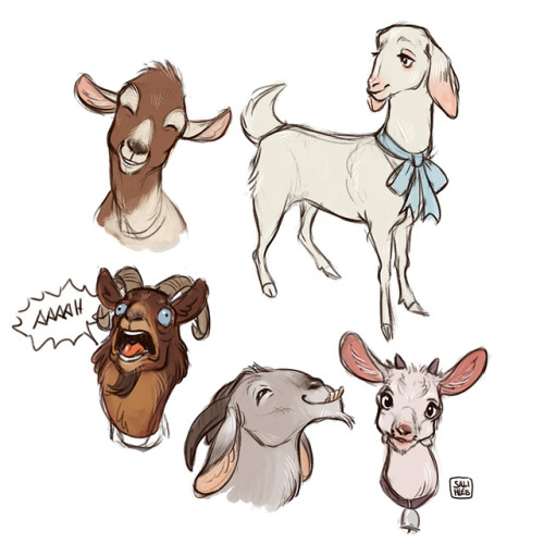  Just some sketches of some (mostly) happy goats 