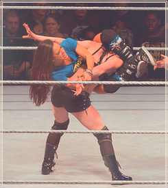 XXX I would pay to see this match at a PPV! Paige photo
