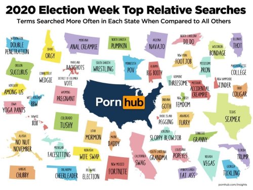 nitramaraho:5hit-5torm:mapsontheweb: Searches on a popular adult website in 2020 election week. Some