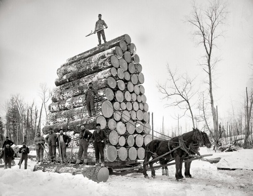 vieuxmetiers:  Transport de bois dans le nord du Michigan, 1908.