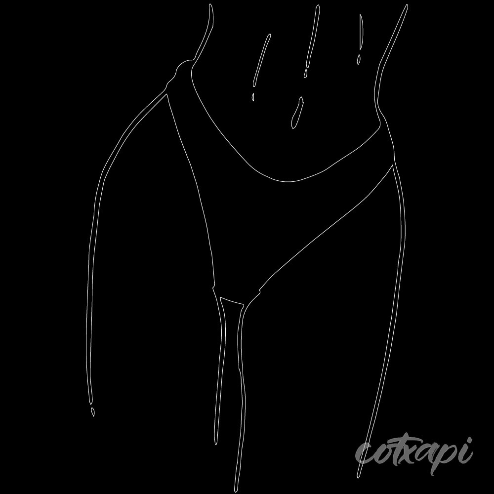 Ladies Bra Design Bikini outline Panty Underwear style in vector art