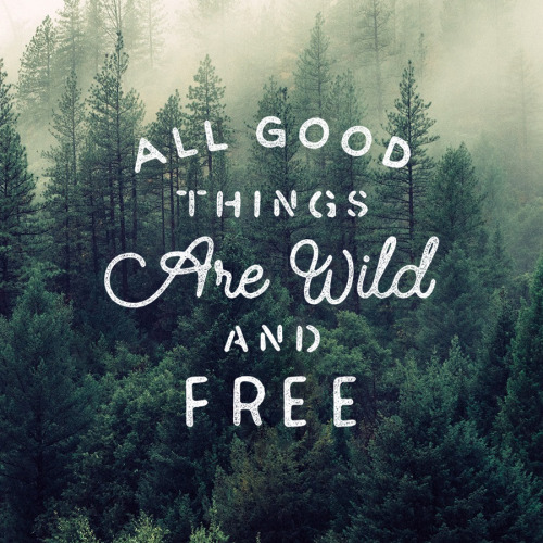 All Good Things Are Wild And FreeLettering by James LafuenteFollow on Instagram