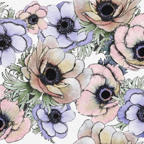 Anemone pattern for next spoonflower challenge. They are blooming in the garden now a harbinger of w