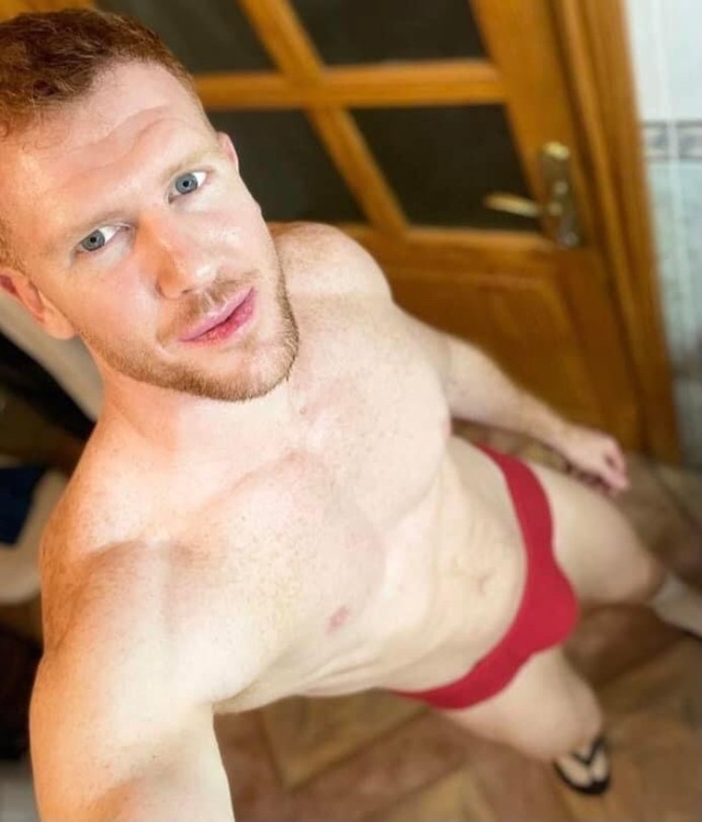 Gingerguild: