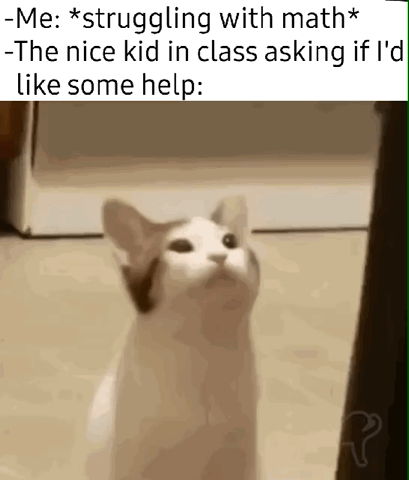 dankmemeuniversity: