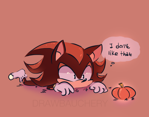 in my sickly state i have drawn shadow looking at a pumpkin 