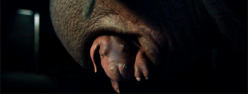 glitterghosts:Okja (2017, dir. Bong Joon-ho)