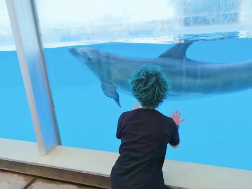 When Midoriya took me to the zoo park and tried to impress a dolphin and some parrots. Guess that wo