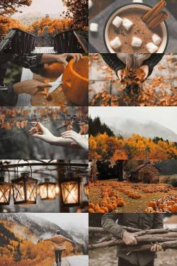 autumnal-experience:Can’t wait…
