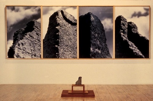 Untitled (4 views), 1988