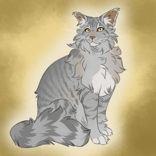 Slugs genetically accurate cats — Ashfur redo (Blue spotted tabby with low  white