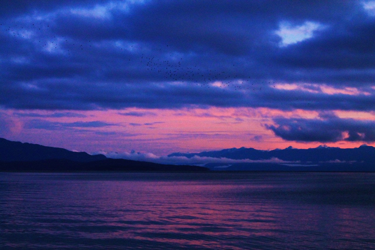 hikingvancouverisland:  Rathtrevor Beach (Parksville) Sunrise Jan 5 2014