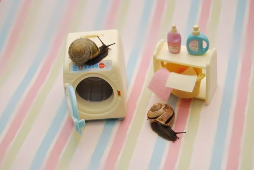 oliverthesnail:  Chores go much quicker when you have someone to help you.