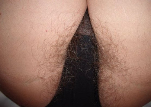 allhairygirls:  Another perfect hairy pictures at http://allhairygirls.tumblr.com/archive