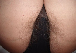 allhairygirls:  Another perfect hairy pictures