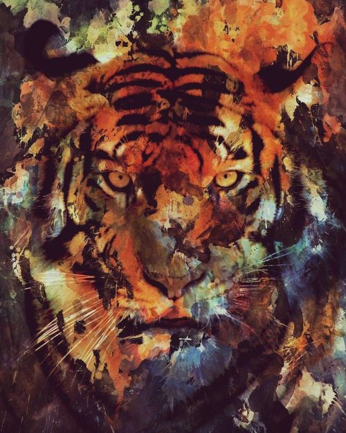 Animal Portraits By Andreas Lie