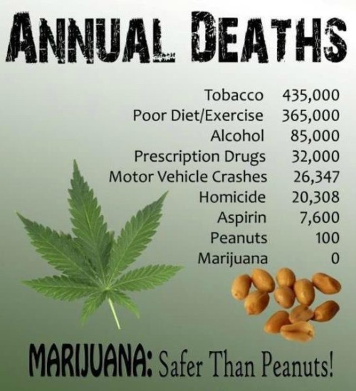 Peanuts are more deadly then marijuana yet they are sold in every grocery store in america.