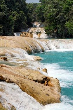 bojrk:  México: Agua Azul falls, Chiapas