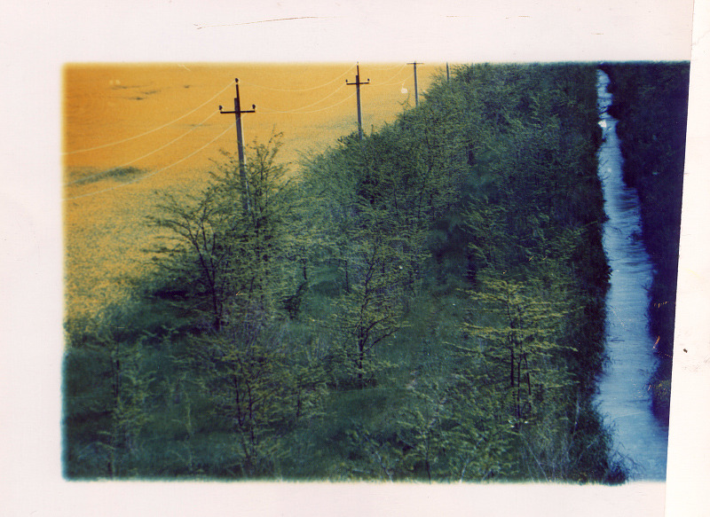 mcrdeviantclub:   Photography by Andrew Pershin (deviantART) Do not remove credit.