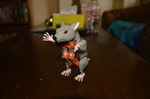 Presenting in-hand images of the new generations Rattrap!