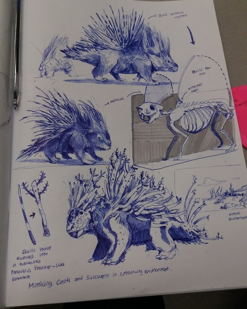 Some recent animal studies while taking a break in the gamelab &lsquo;office&rsquo; still got about 